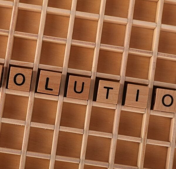 education services learning solutions