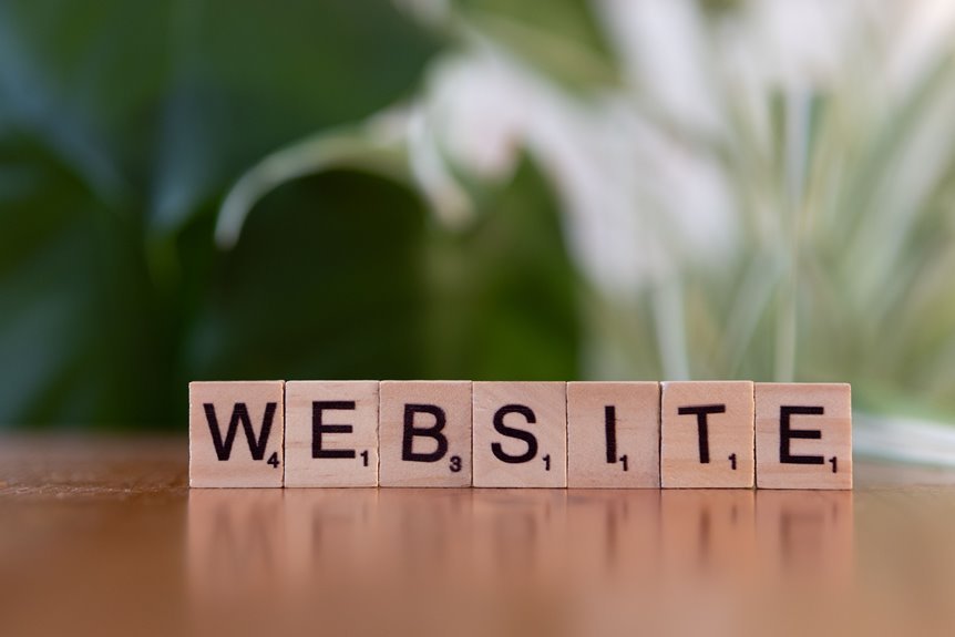 dianaandr3a simplifying website insights