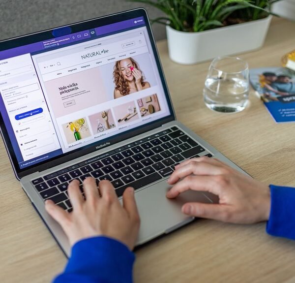 website user guide overview