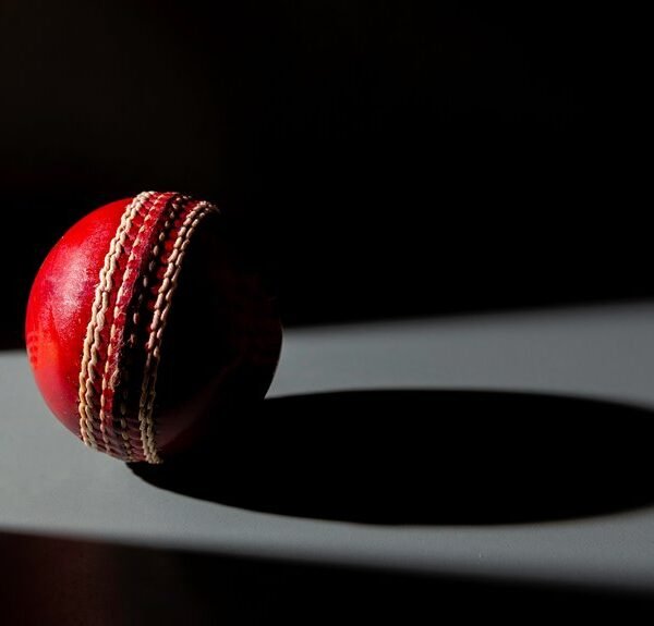 diana and andrea s cricket drama